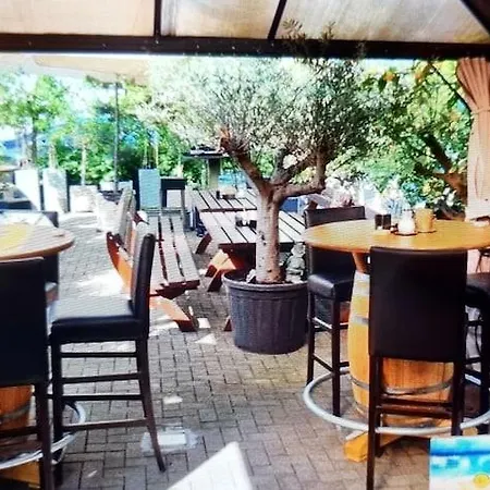 Arcadia Heidelberg 3* שווצינגן